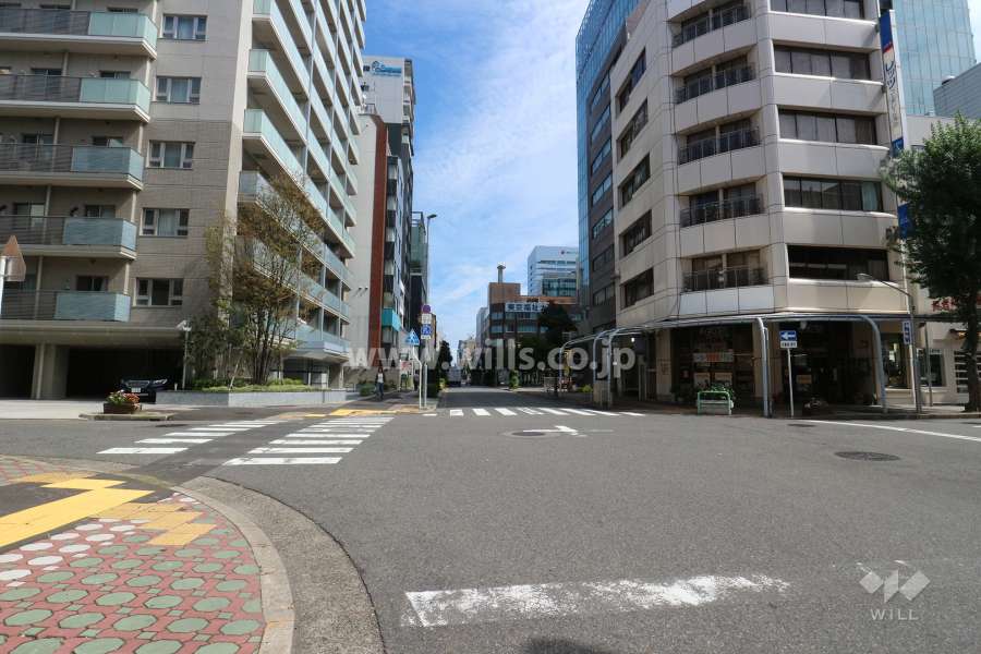 敷地南側の前面道路（西側から）