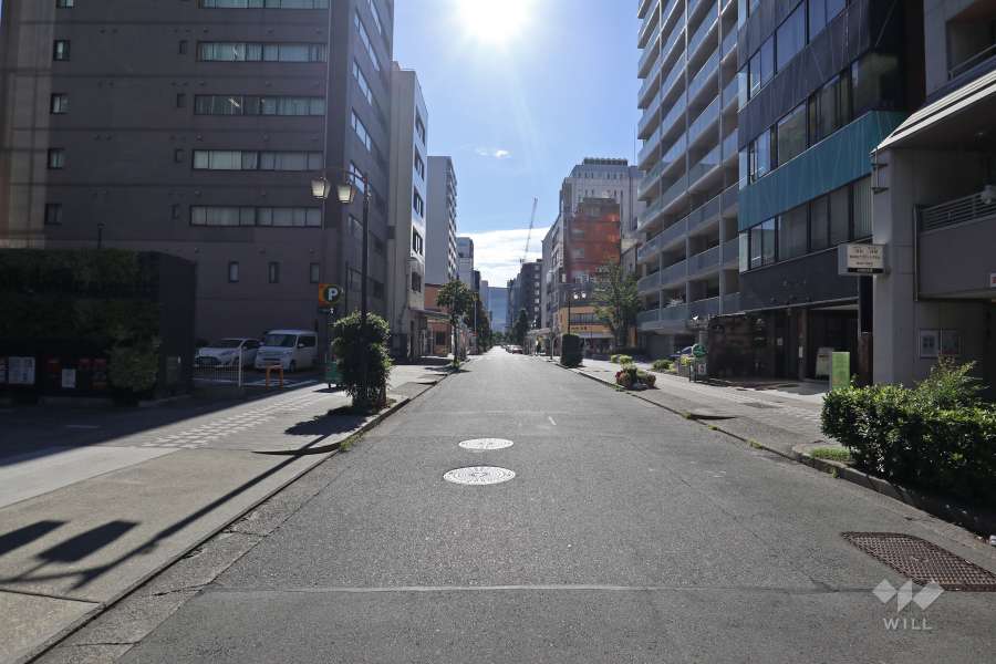 敷地の南側前面道路（西側から）