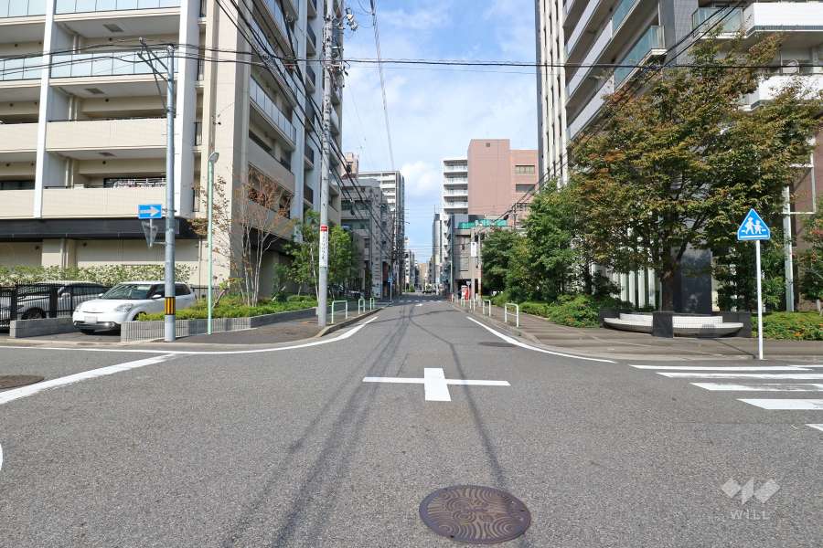 敷地東側の前面道路（南側から）
