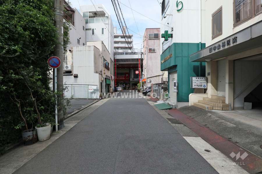 敷地西側の前面道路（南側から）