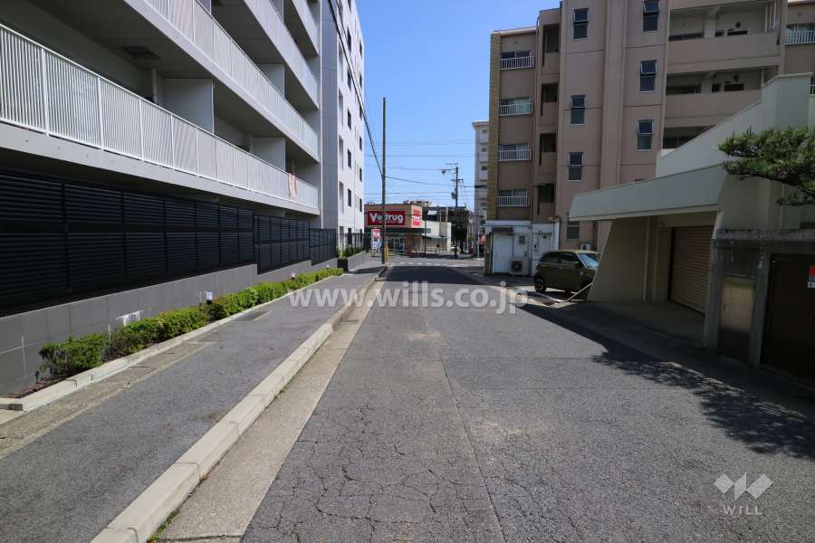 敷地西側の前面道路（北側から）