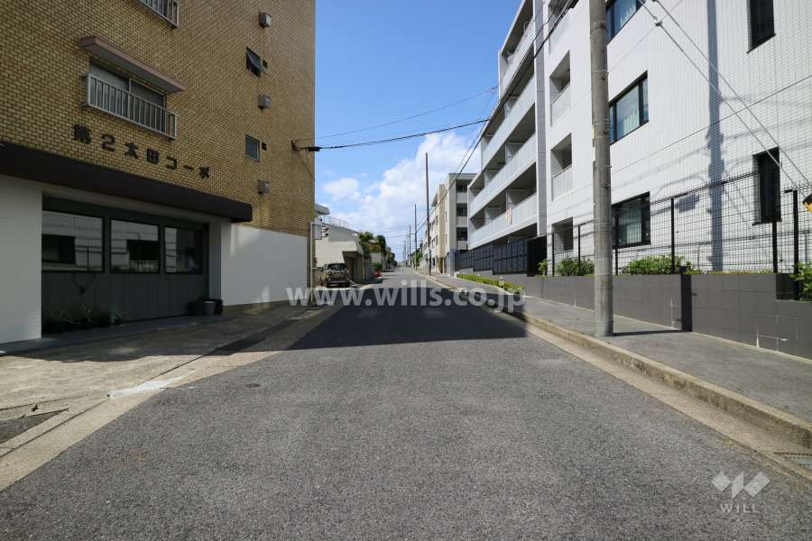 敷地西側の前面道路（南側から）