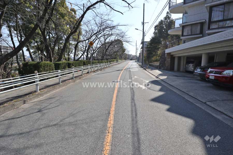 敷地北東側の前面道路(北西側から)