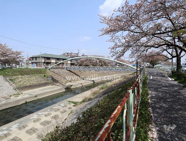 マンション敷地の北側には川が流れています。