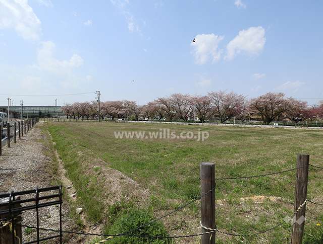 マンション敷地西側は空き地です。