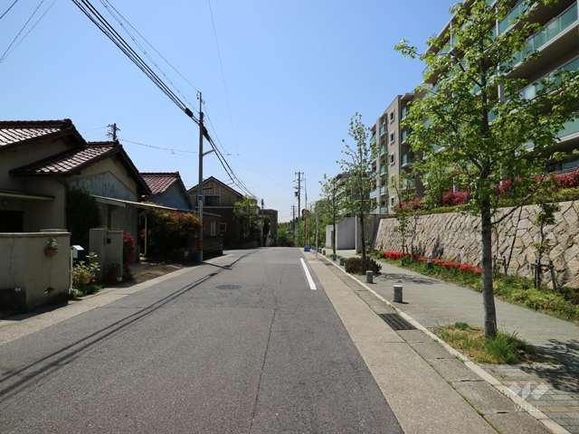 ヴィラス星ヶ丘の森の東側前面道路(北側から撮影)