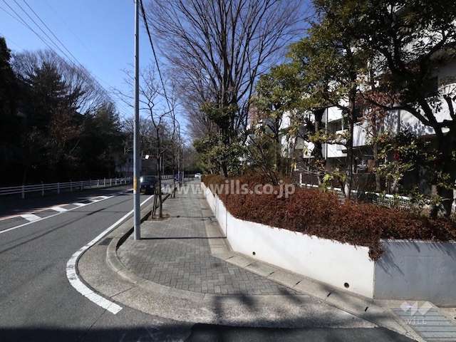 敷地南側の前面道路