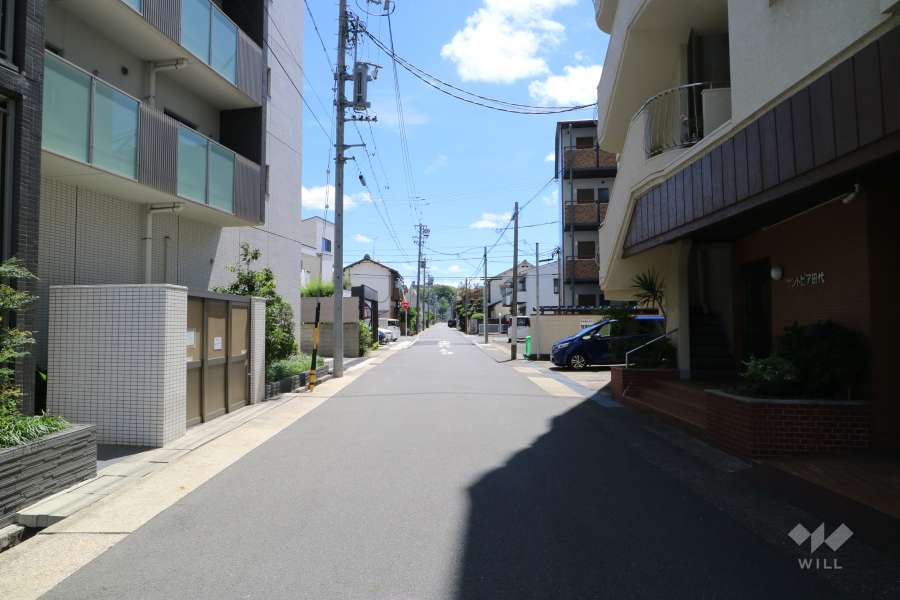 敷地南側の前面道路(西側から)