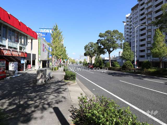 敷地南東側の前面道路（南西側から）