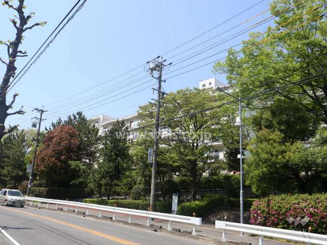 千代が丘団地111号棟の外観(南東側から)