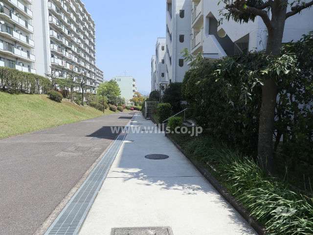 敷地北側の前面道路
