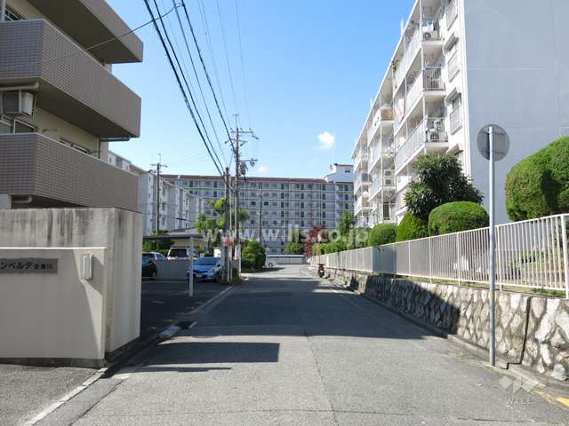 敷地北側の前面道路