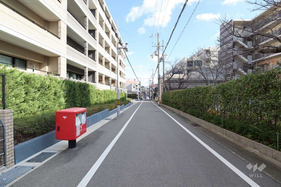 敷地南側の前面道路（西側から）