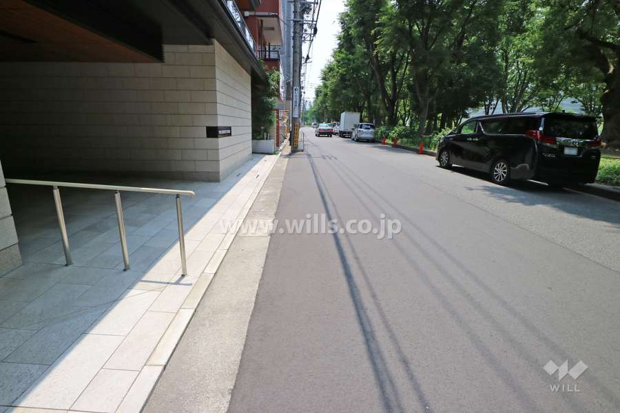 敷地の西側前面道路（北側から）