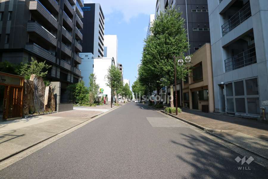 敷地南側の前面道路（西側から）