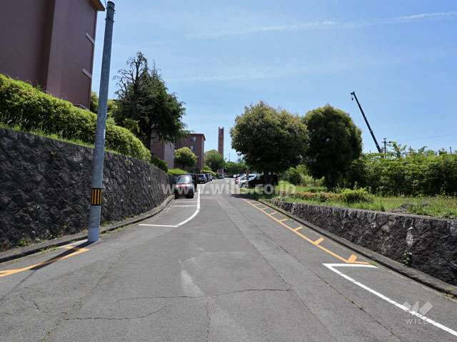 敷地の西側前面道路（北側から）