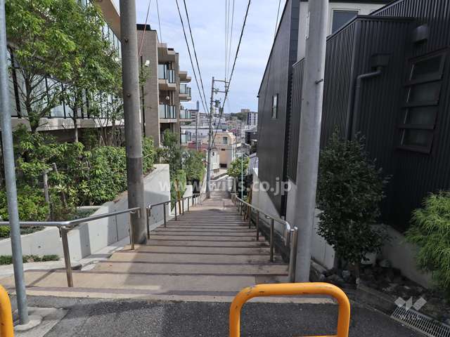 敷地南側の階段