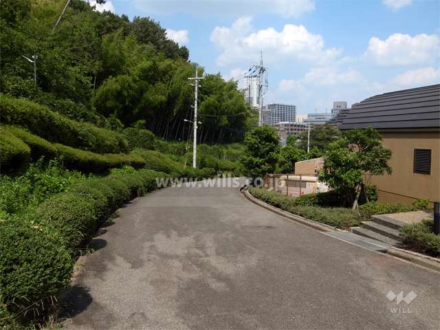 敷地の北西側は千里緑地の為、緑豊かです。