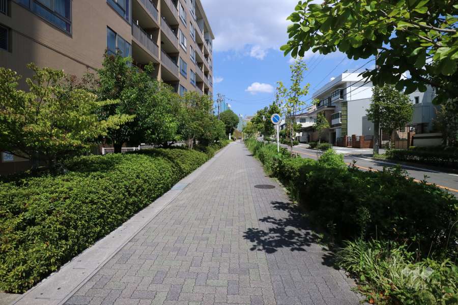 敷地の南東側前面道路（南側から）