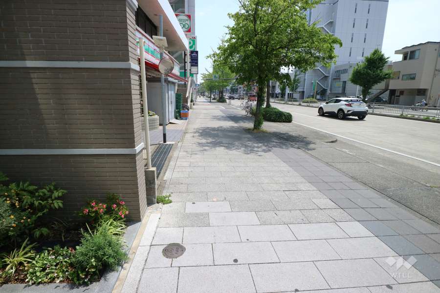 敷地の西側前面道路（北側から）