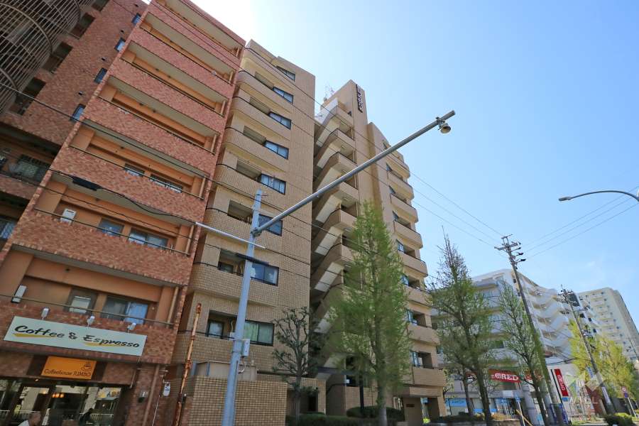 朝日プラザ川名の外観写真(北東側から)