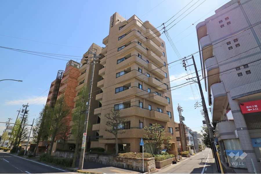 朝日プラザ川名の外観写真(北西側から)