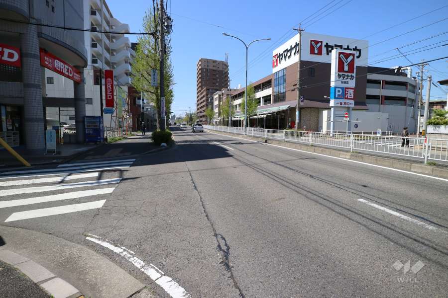 敷地北側の前面道路(東側から)