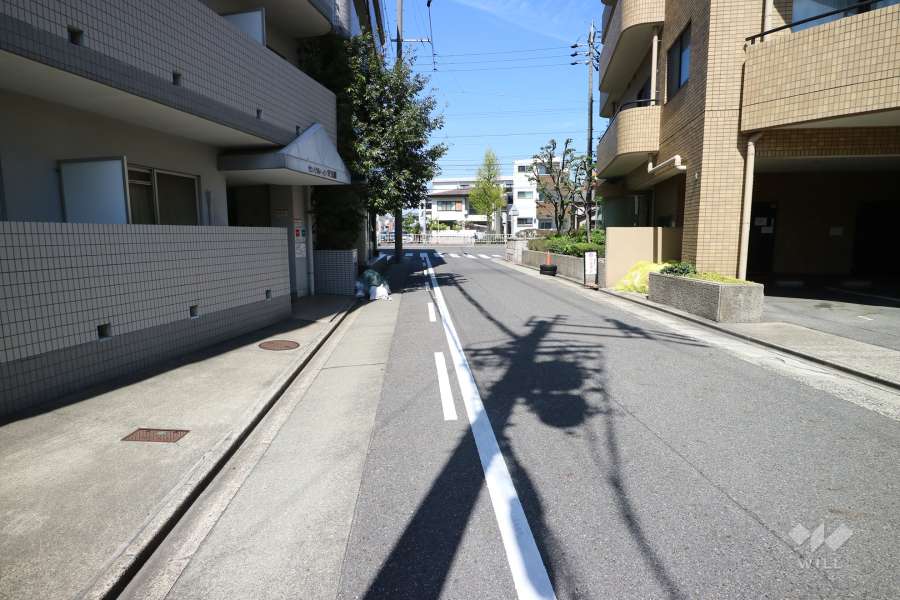 敷地西側の前面道路(南側から)