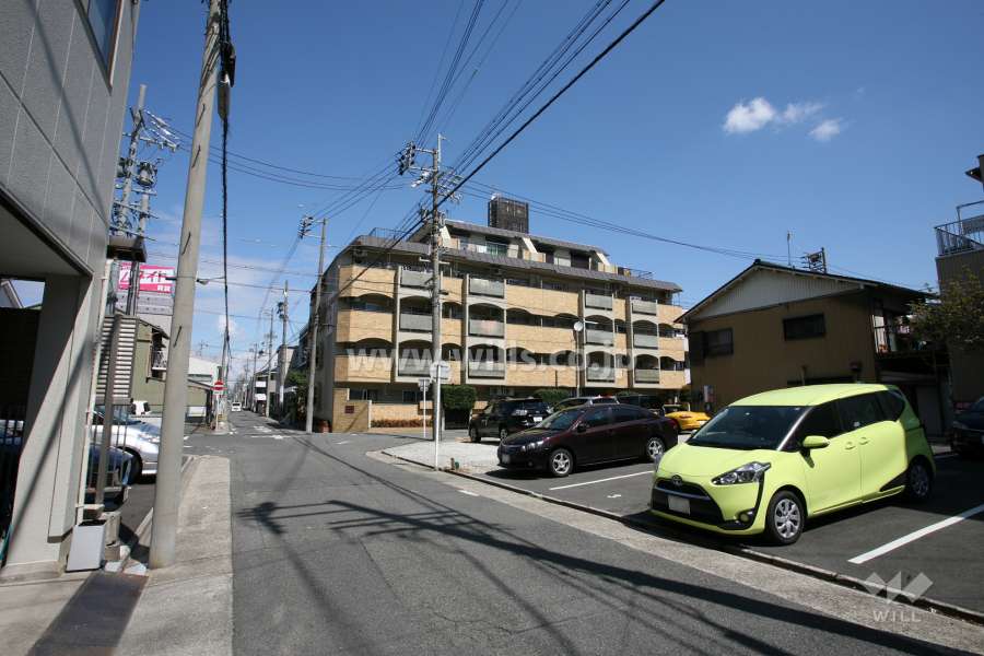 円上アイリスの遠景