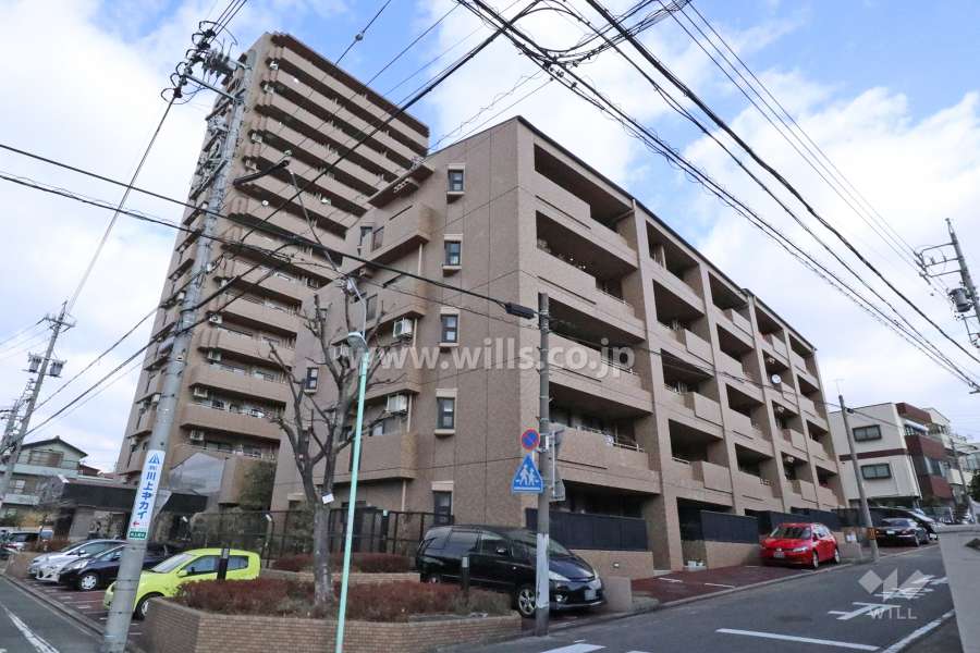 エスポア円上の外観（南側から）