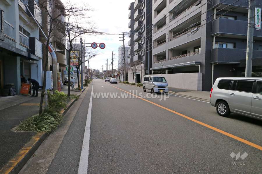 敷地東側の前面道路