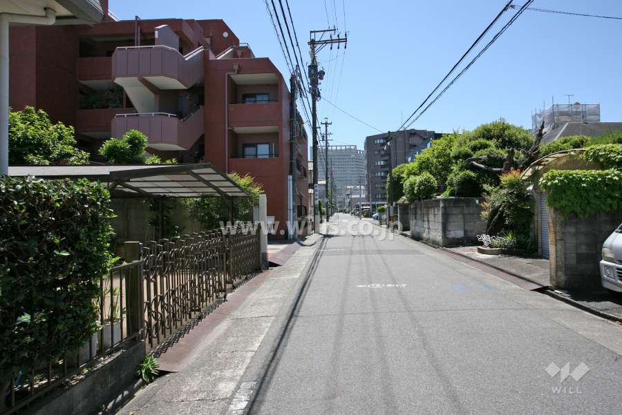 敷地西側の前面道路