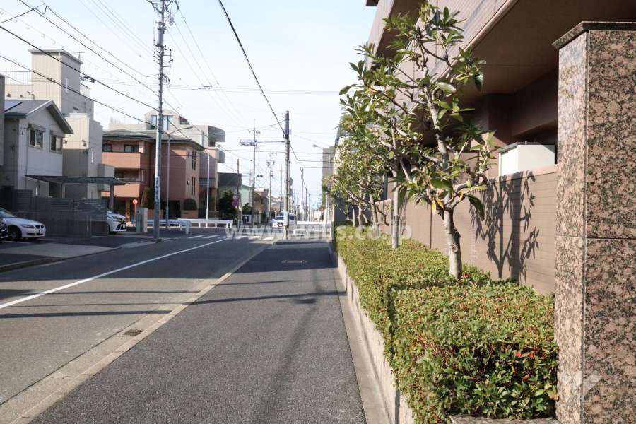 敷地南側前面道路