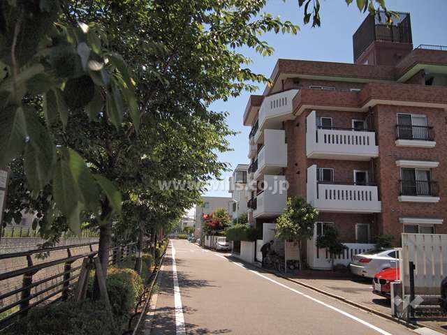 敷地東側の前面道路。桜の名所山崎川沿いです（北から）