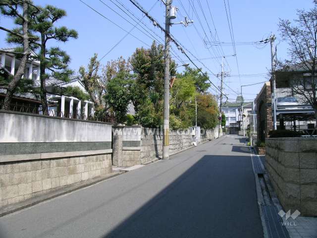 敷地北側、エントランスの前の通り。生け垣の緑がきれいです。