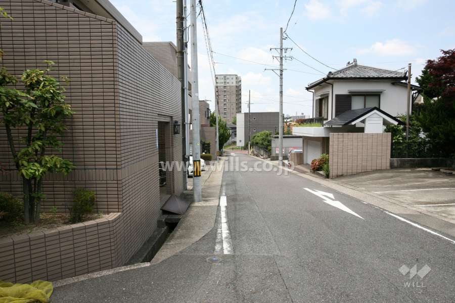 敷地北側の前面道路