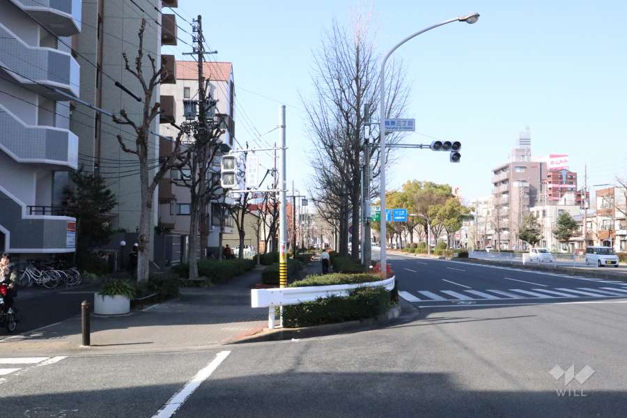 敷地北側の前面道路