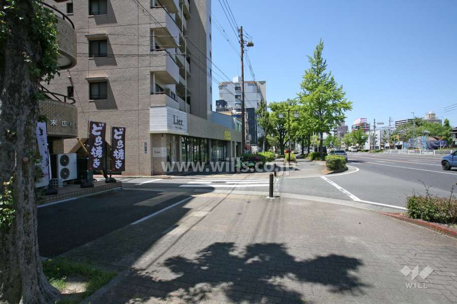 敷地北側の前面道路(山王通)