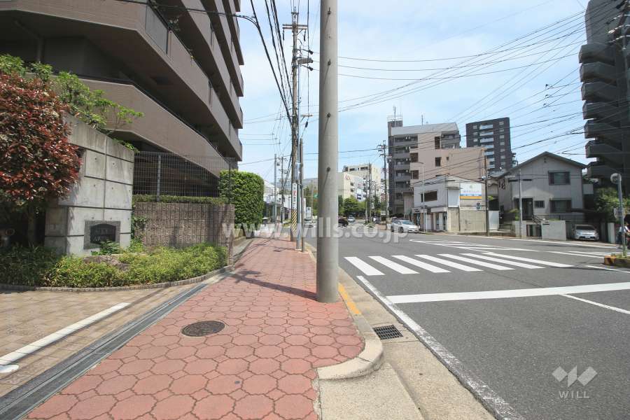 敷地南側の前面道路