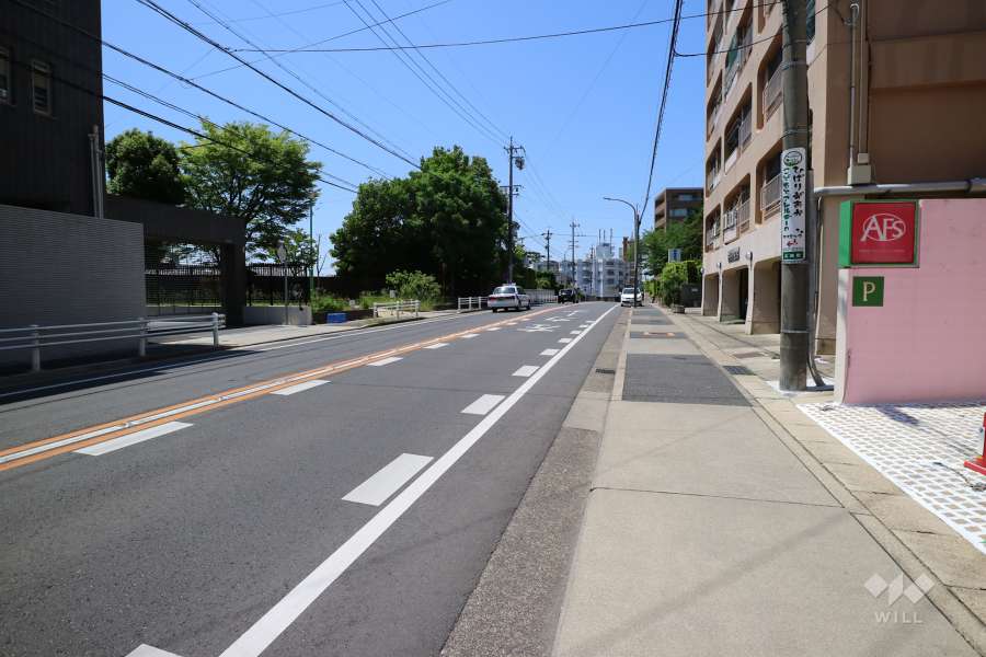 敷地の南西側前面道路(南東側から)