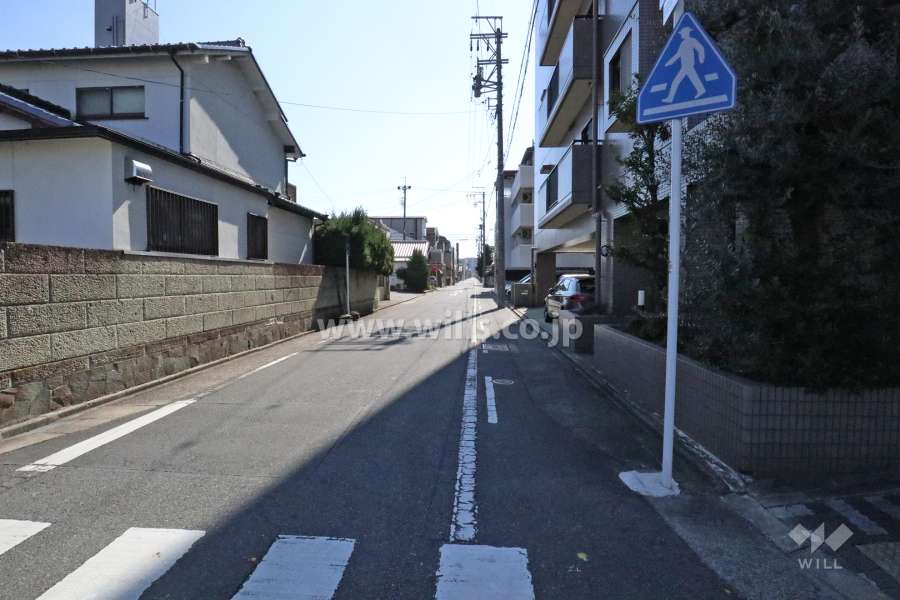 敷地東側の前面道路
