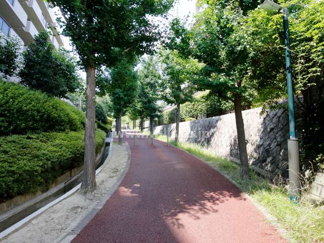 敷地西側は通路に面しています。