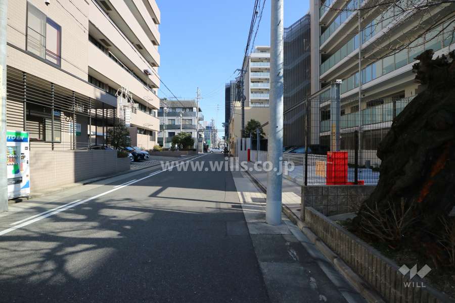 敷地北側の前面道路