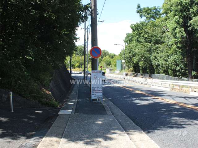 敷地東側の前面道路.向かいには大学があります。