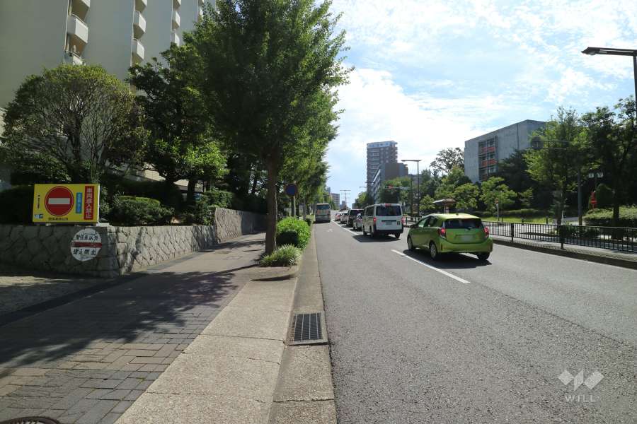 敷地西側の前面道路（北側から）