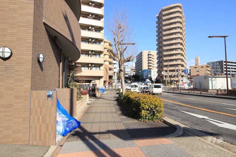 敷地東側の前面道路。