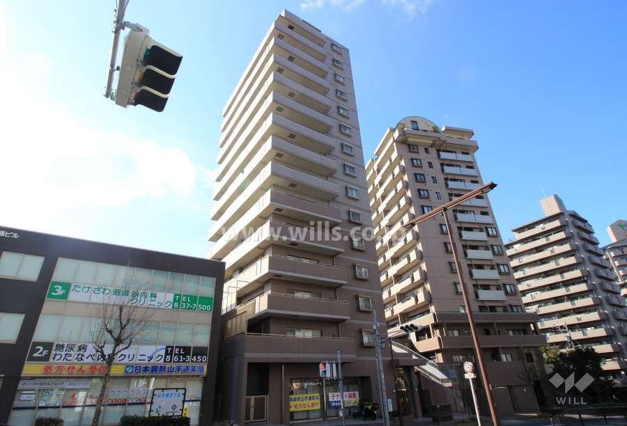 ダイアパレス山手通の外観（東側から）