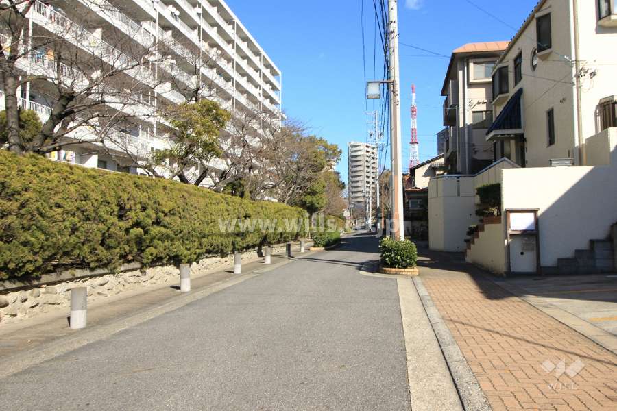 敷地南側の前面道路