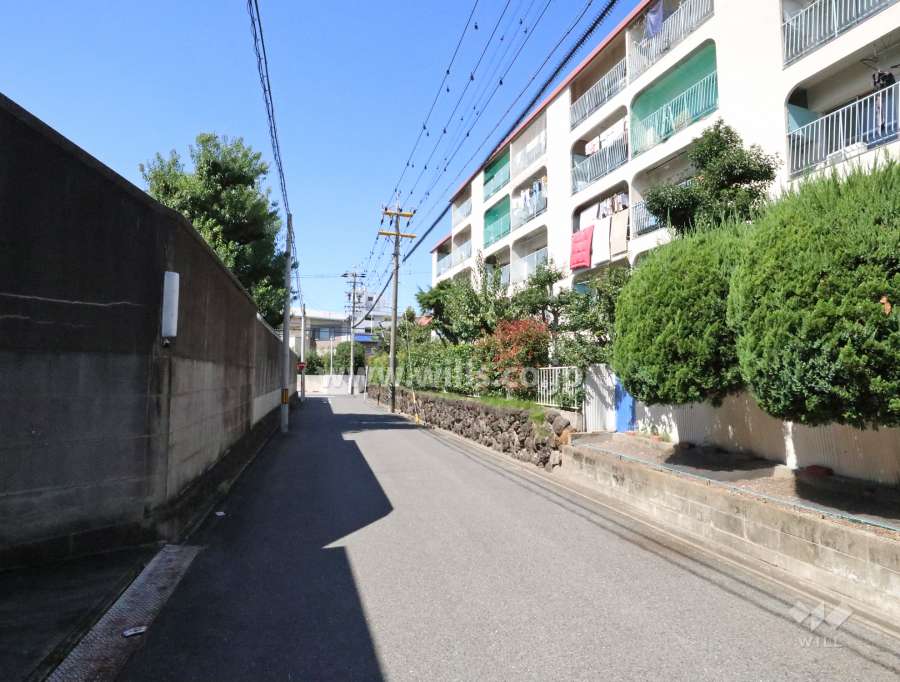 敷地南側の前面道路