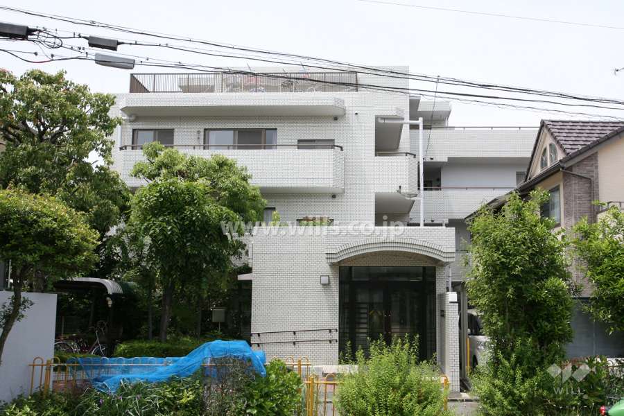 山脇町スカイマンションの外観(南側から)